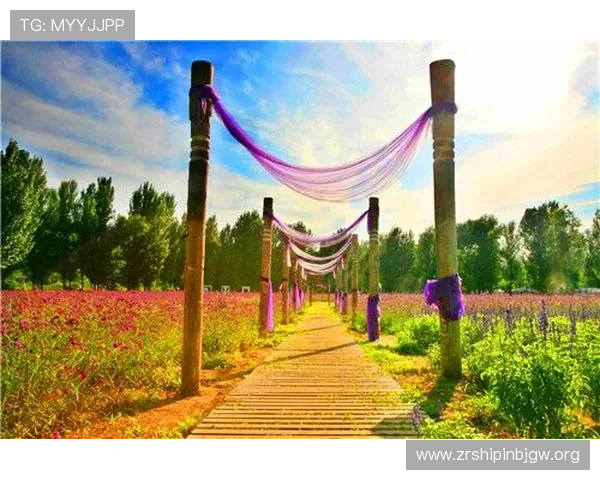 皇冠电子视讯网站最新优惠活动详解助你轻松获取丰富彩金和专属福利